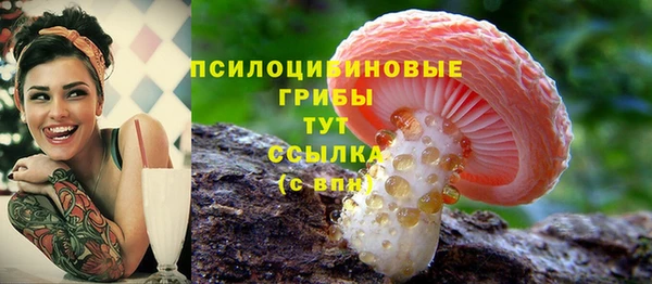 мет Аркадак
