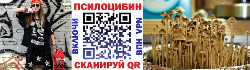 Псилоцибиновые грибы ЛСД  цена   blacksprut зеркало  Руза 