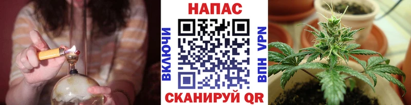 сколько стоит  Руза  Конопля THC 21% 